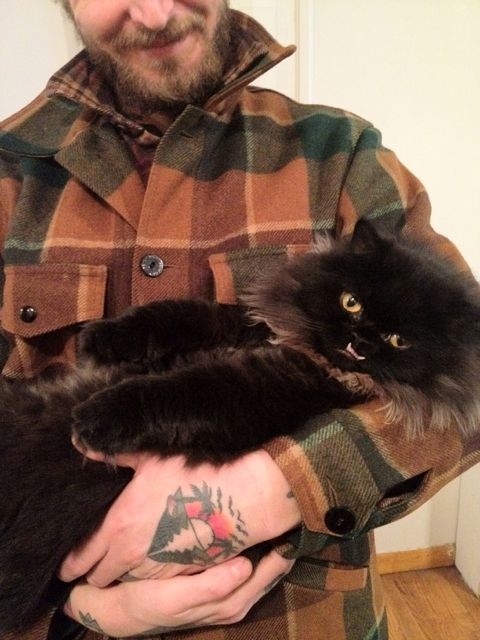 gato-rescatado-princess-monster-truck (2)