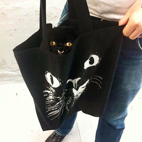 gato-rescatado-princess-monster-truck (4)