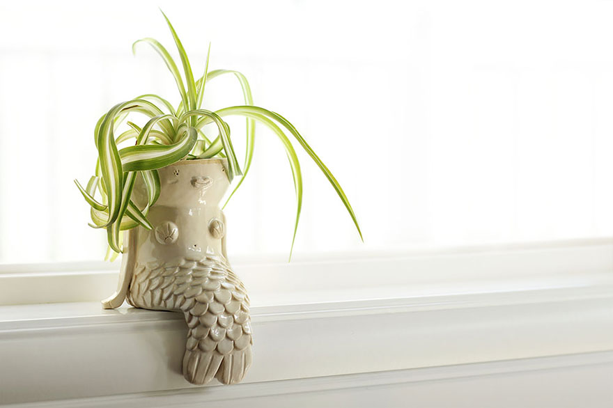 macetas-creativas-plantas (1)