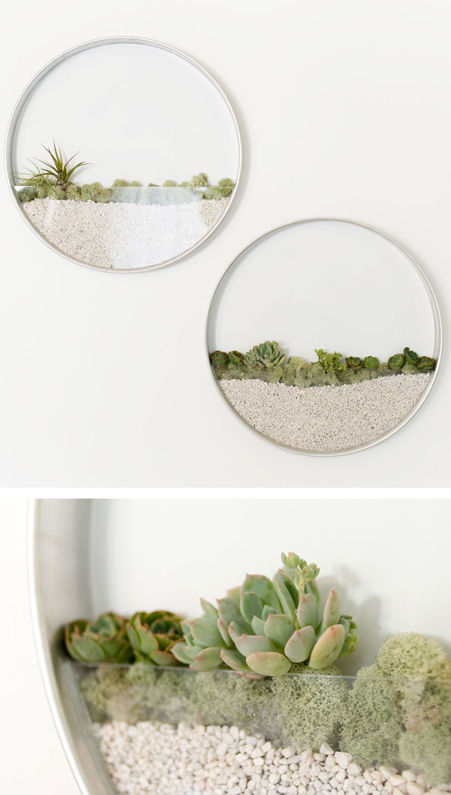 macetas-creativas-plantas (13)