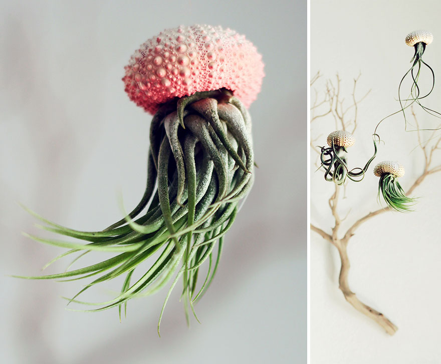 macetas-creativas-plantas (18)