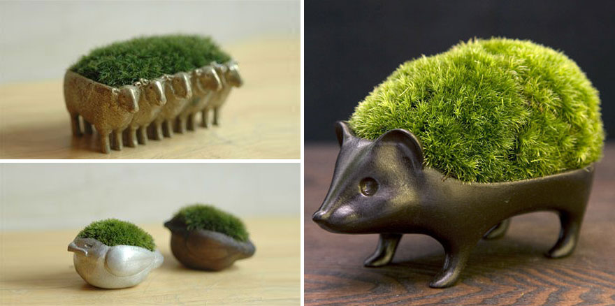 macetas-creativas-plantas (20)