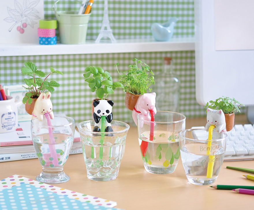 macetas-creativas-plantas (21)