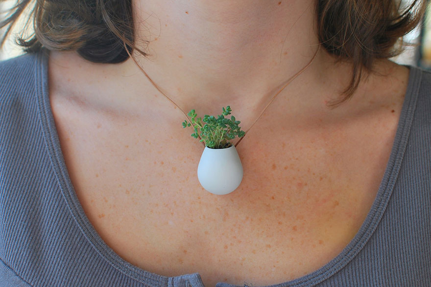 macetas-creativas-plantas (3)