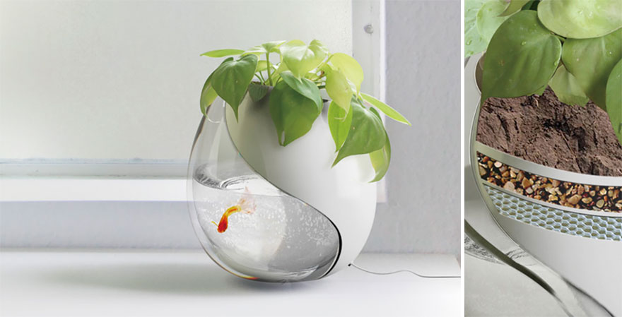 macetas-creativas-plantas (5)