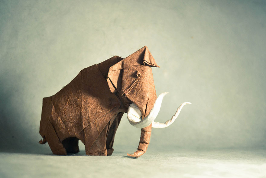 obras-origami-papiroflexia-gonzalo-garcia-calvo (28)