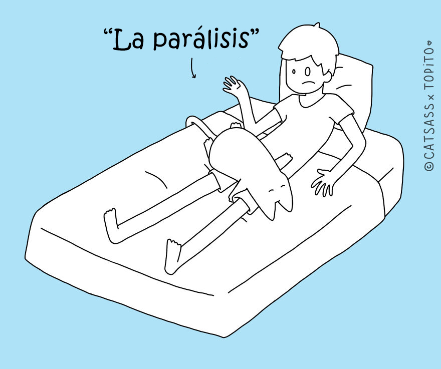 posturas-dormir-gato-catsass-1