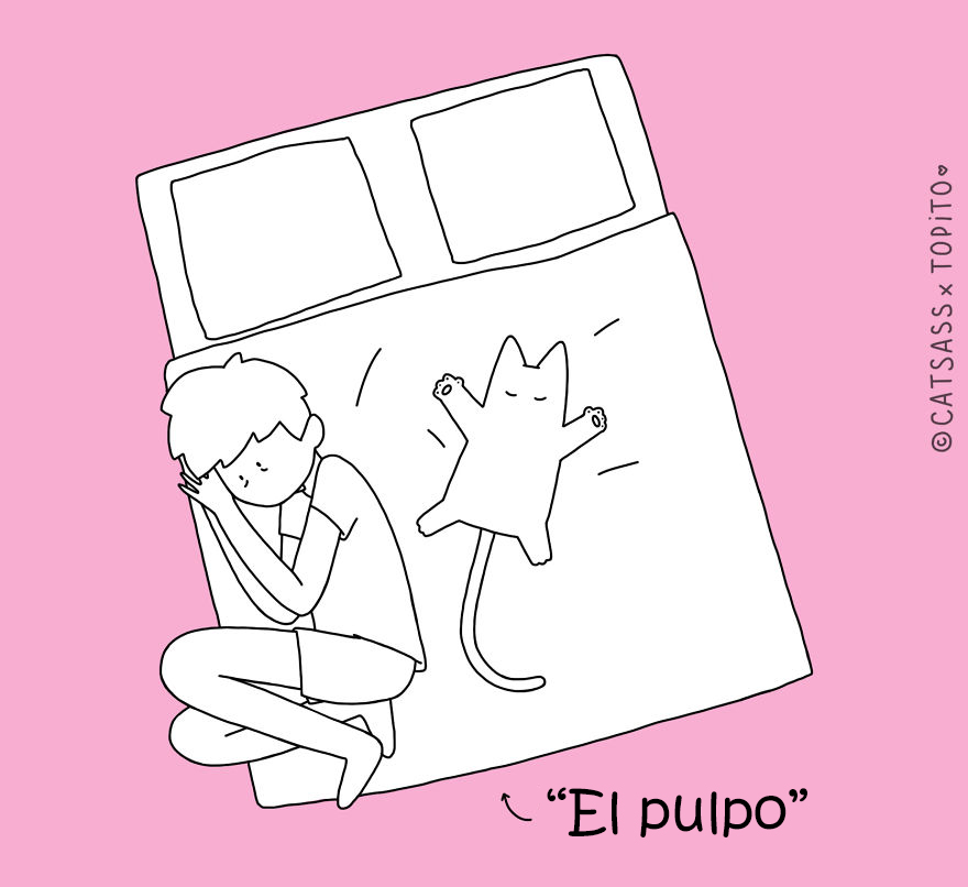 posturas-dormir-gato-catsass-3