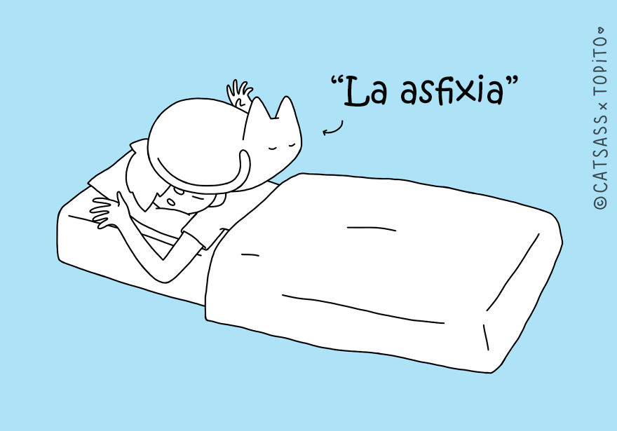 posturas-dormir-gato-catsass-4