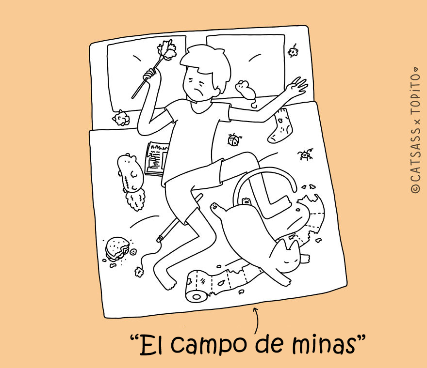 posturas-dormir-gato-catsass-6