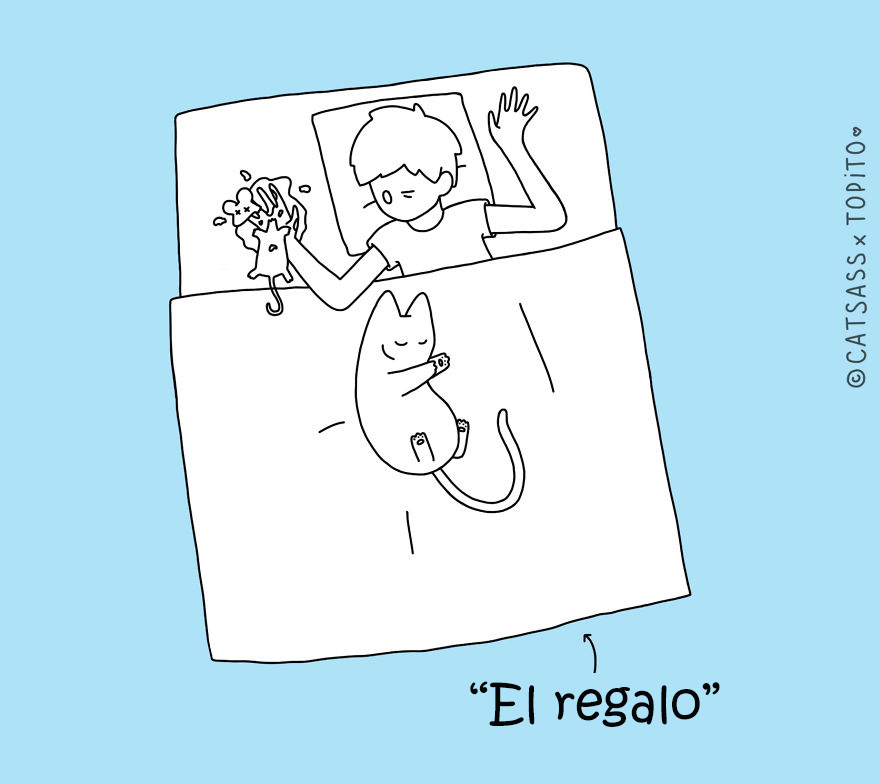 posturas-dormir-gato-catsass-8