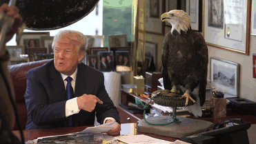 aguila-calva-ataca-donald-trump-revista-time (1)