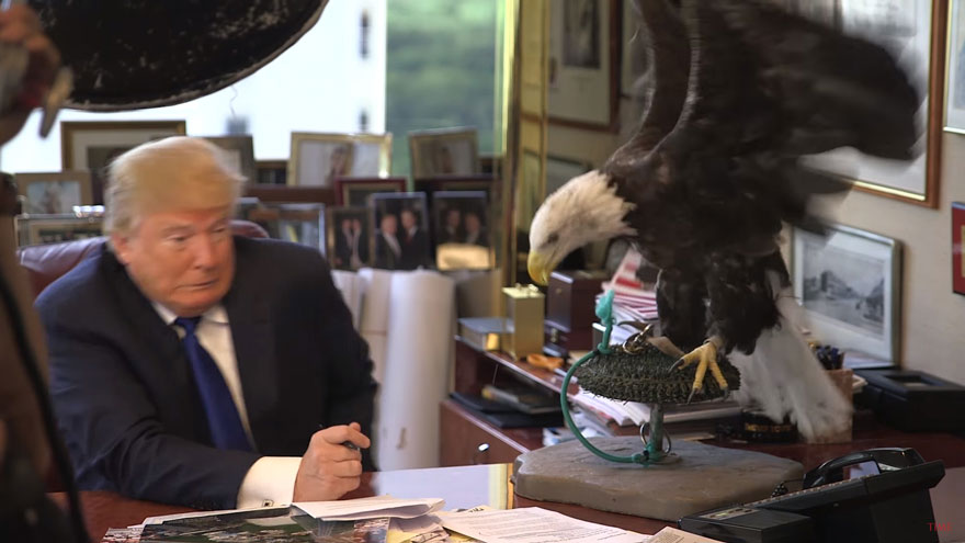 aguila-calva-ataca-donald-trump-revista-time (1)