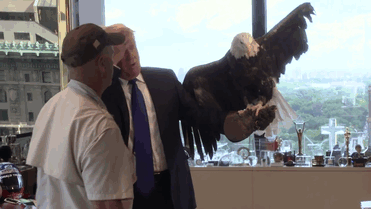 aguila-calva-ataca-donald-trump-revista-time (3)