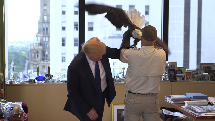 aguila-calva-ataca-donald-trump-revista-time (4)