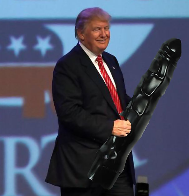 armas-cambiadas-consoladores-politicos-republicanos-americanos-matt-haughey (15)