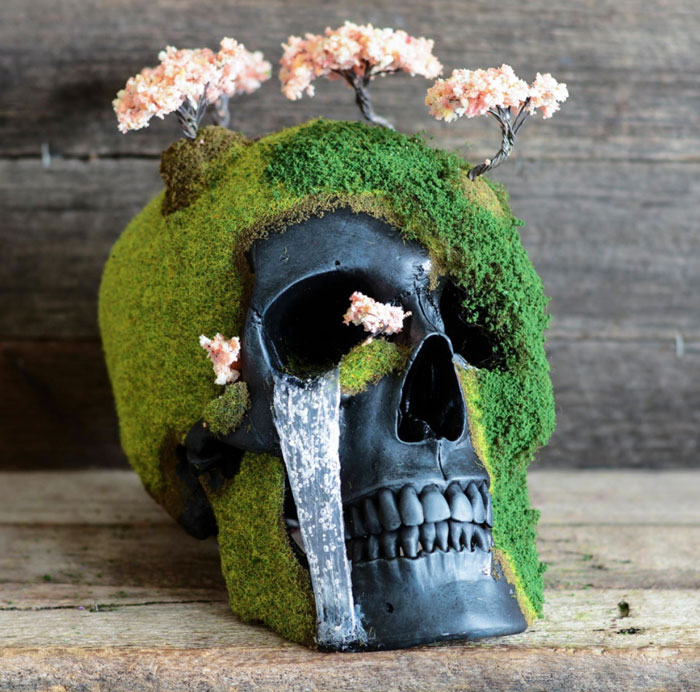 calavera-bonsai-jack-dust (1)
