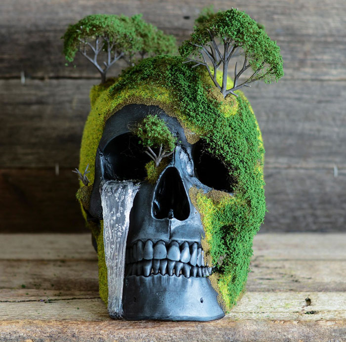 calavera-bonsai-jack-dust (2)