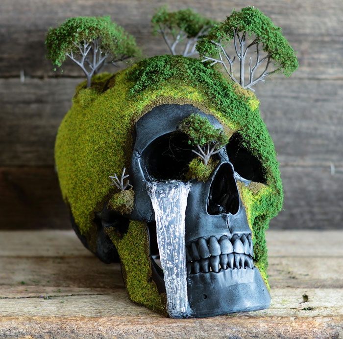 calavera-bonsai-jack-dust (6)