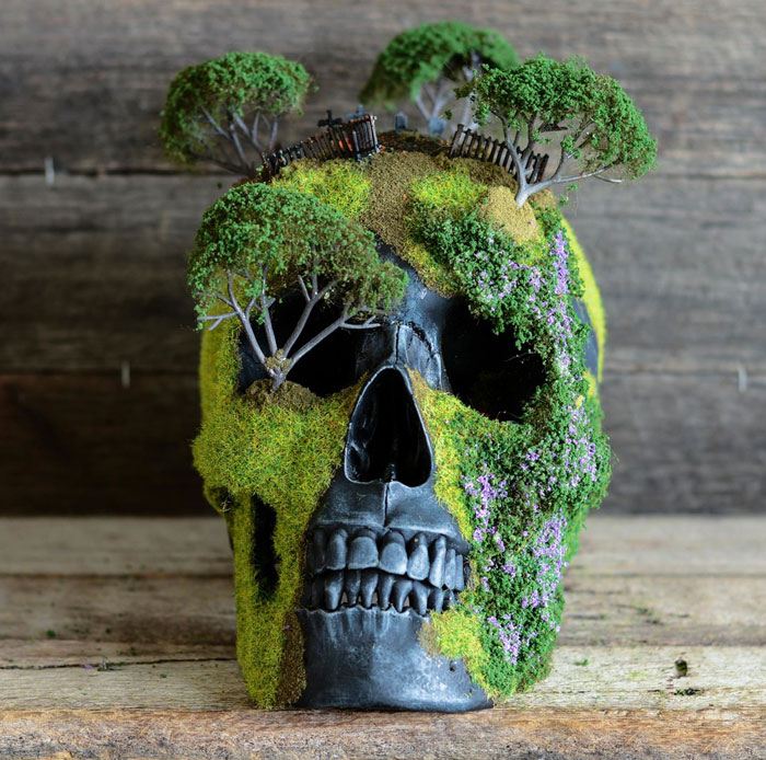 calavera-bonsai-jack-dust (7)