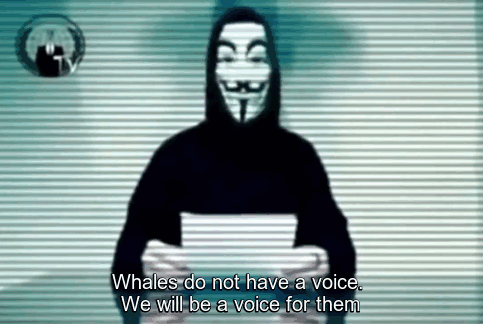 caza-ilegal-de-ballenas-heckeo-de-sitios-web-del-gobierno-islandes-anonymous (6)