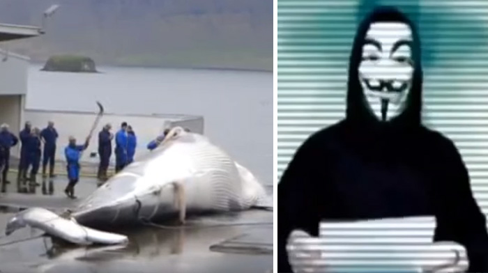 La caza ilegal de ballenas en Islandia provoca un ataque a las páginas web del gobierno por Anonymous