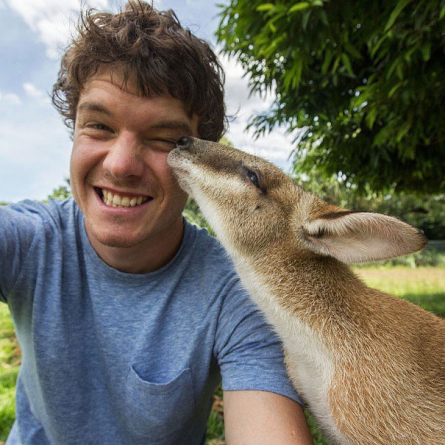 experto-selfies-animales-allan-dixon (1)