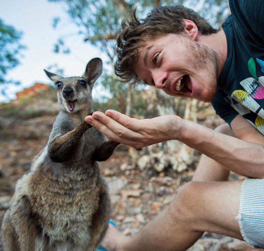 experto-selfies-animales-allan-dixon (11)