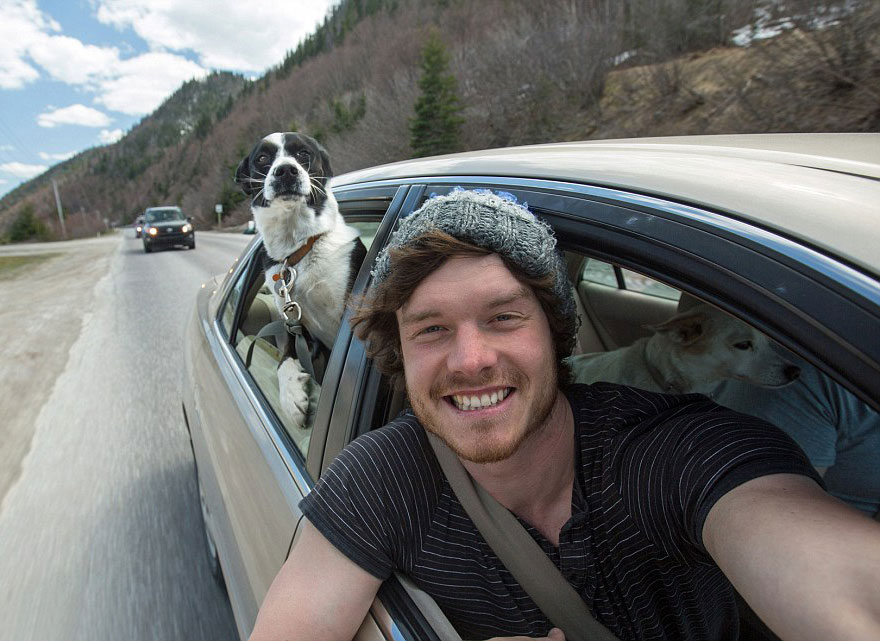 experto-selfies-animales-allan-dixon (12)