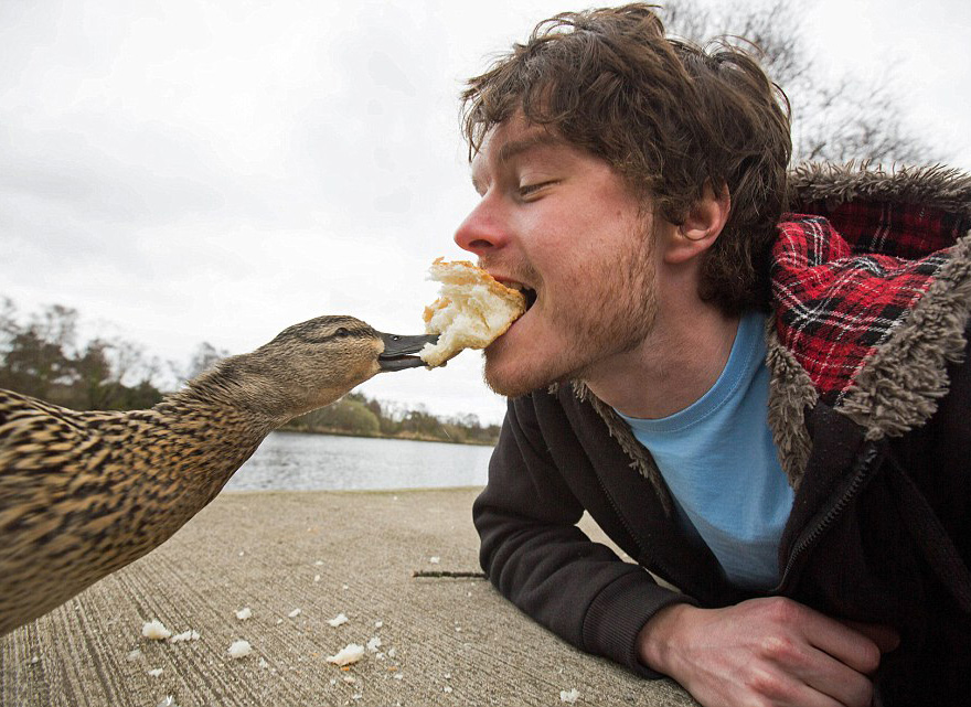 experto-selfies-animales-allan-dixon (3)