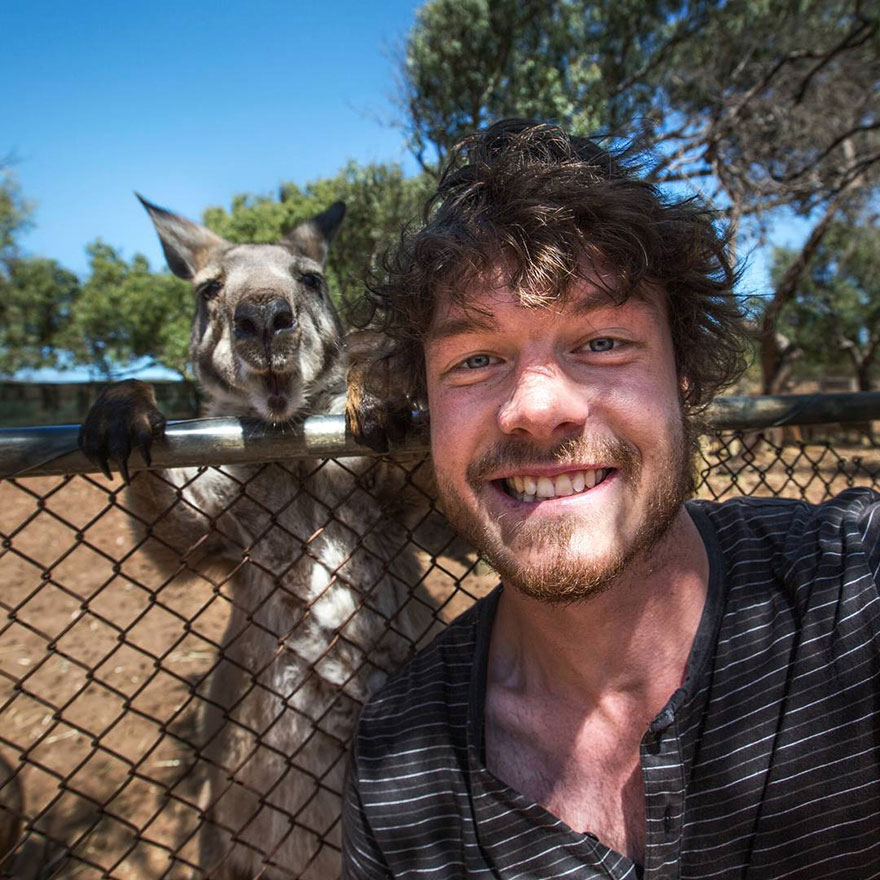 experto-selfies-animales-allan-dixon (6)