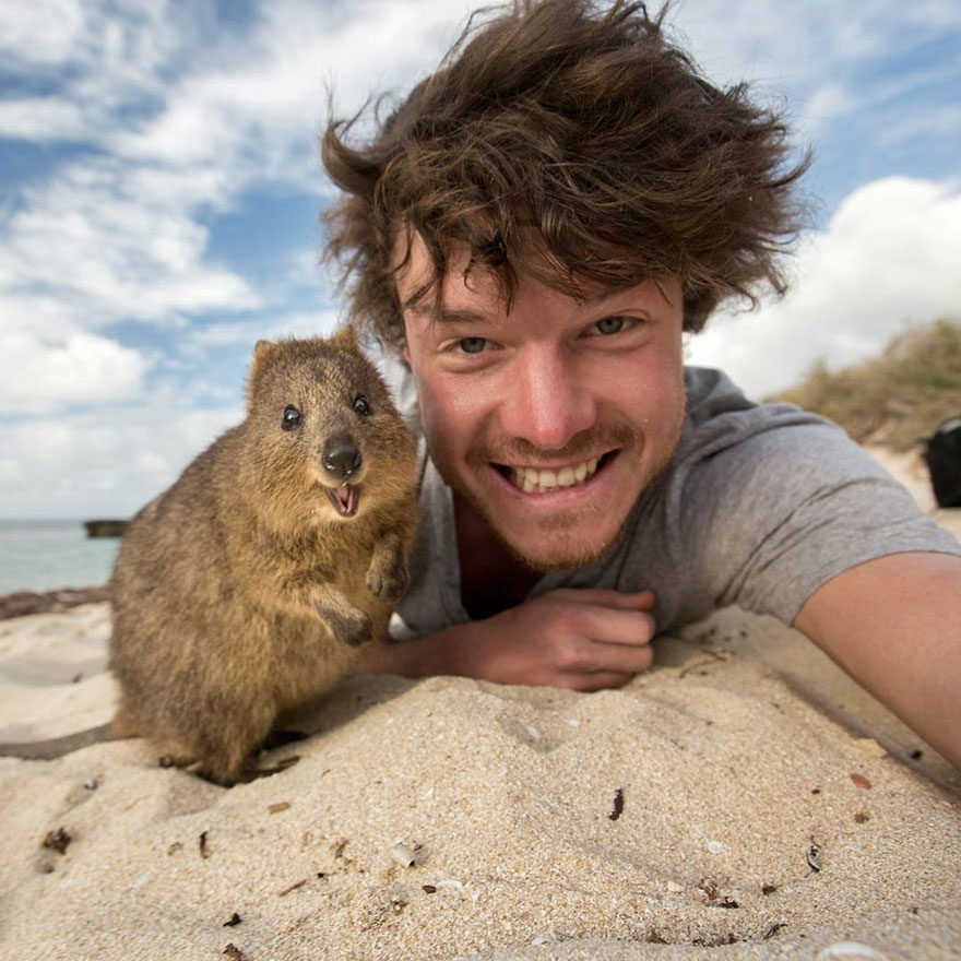 experto-selfies-animales-allan-dixon (7)