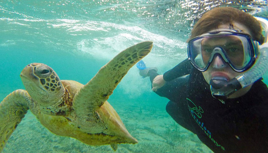 experto-selfies-animales-allan-dixon (8)