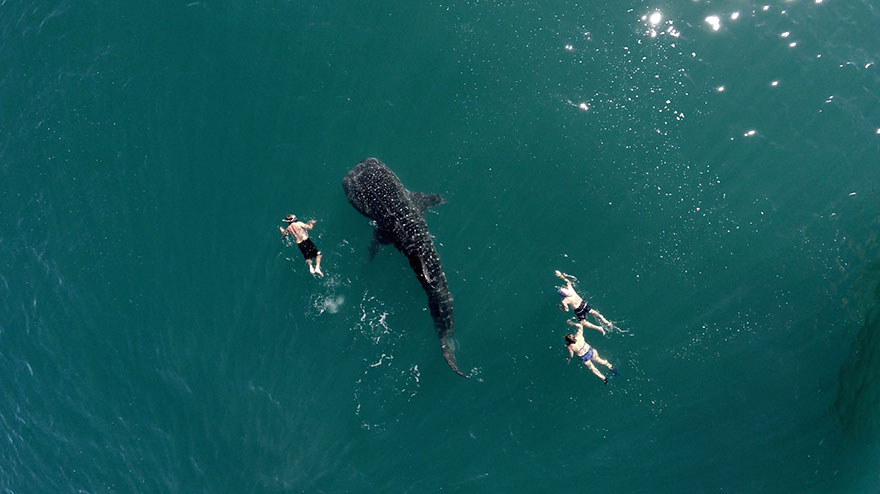 fotografia-aerea-drones-2015-dronestagram (1)