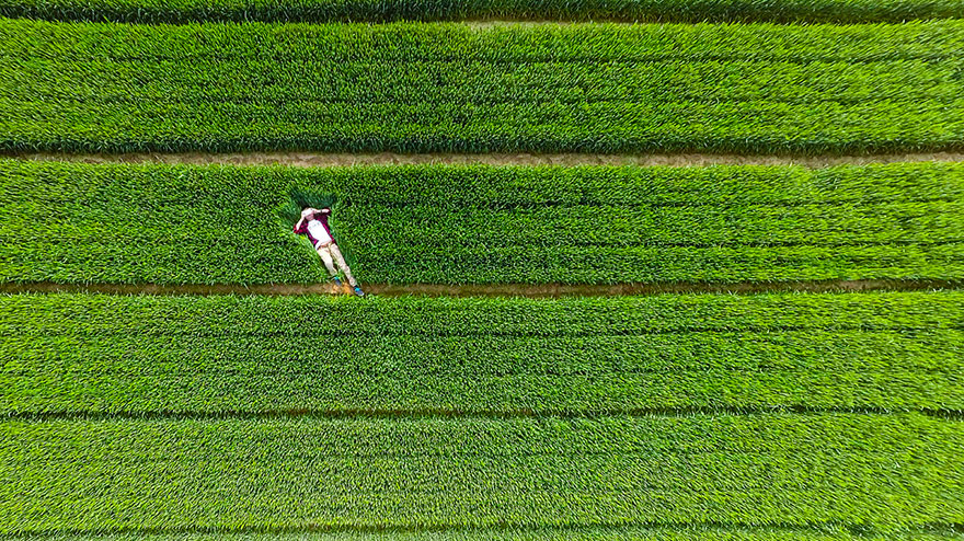fotografia-aerea-drones-2015-dronestagram (2)