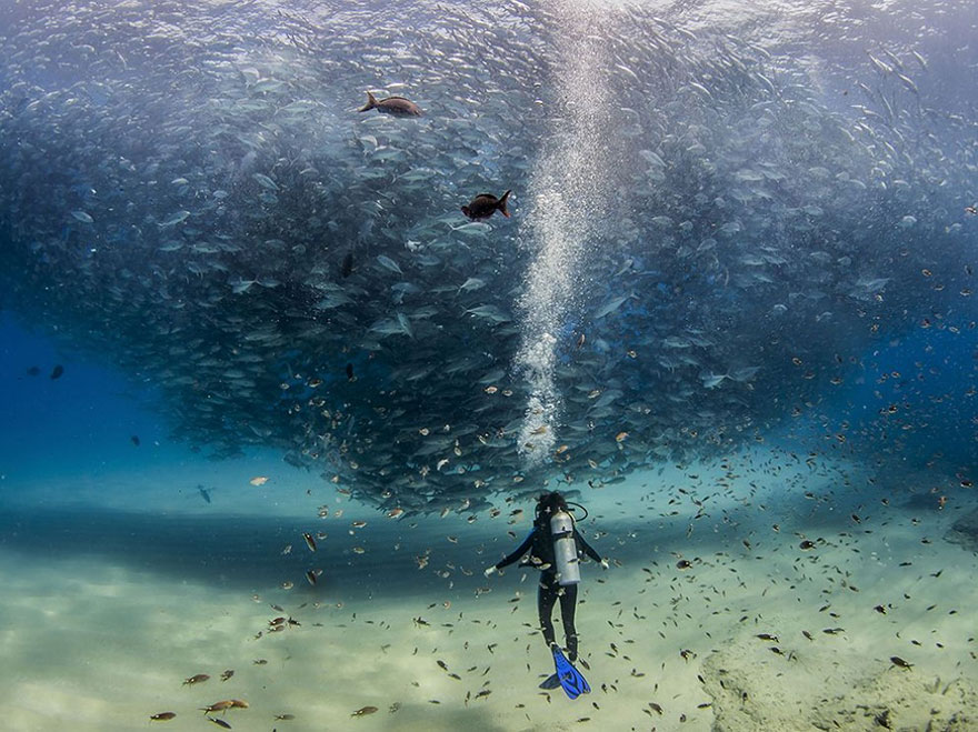 fotos-diarias-favoritas-2015-national-geographic (10)