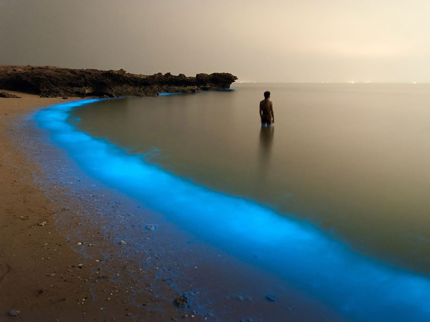 fotos-diarias-favoritas-2015-national-geographic (12)