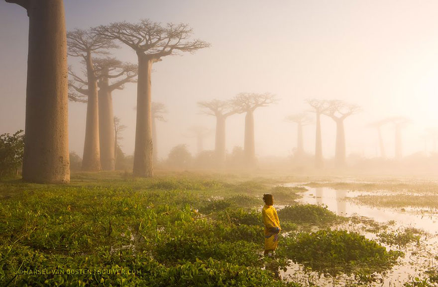 fotos-diarias-favoritas-2015-national-geographic (18)
