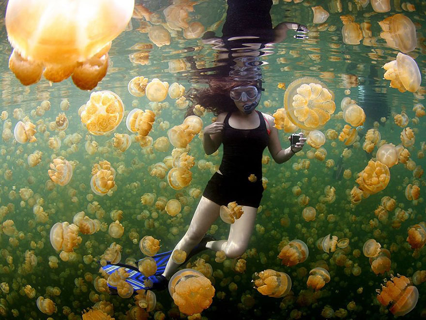 fotos-diarias-favoritas-2015-national-geographic (2)