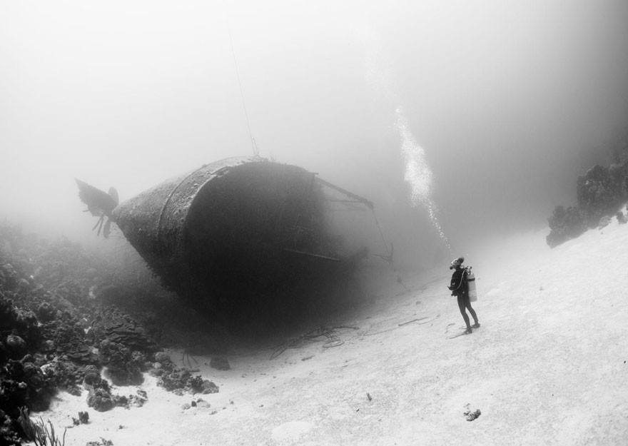 fotos-diarias-favoritas-2015-national-geographic (20)