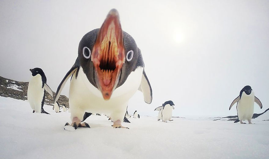 fotos-diarias-favoritas-2015-national-geographic (3)