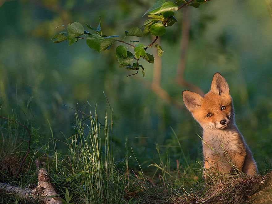 fotos-diarias-favoritas-2015-national-geographic (5)