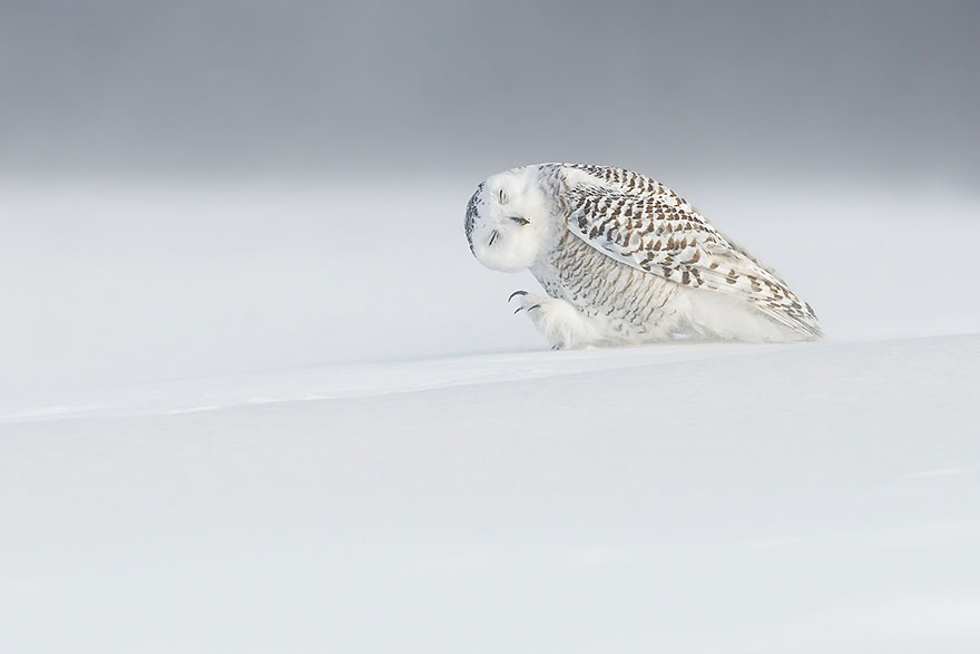 fotos-diarias-favoritas-2015-national-geographic (7)