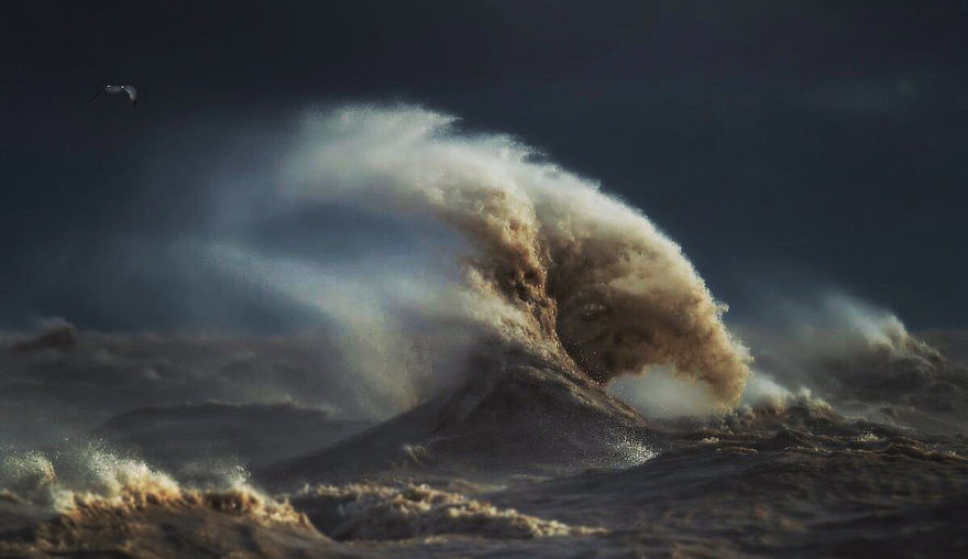 fotos-olas-lago-erie-dave-sandford-canada (7)