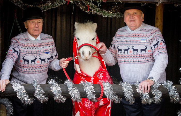 foursie-mono-festivo-pony-daffy (7)