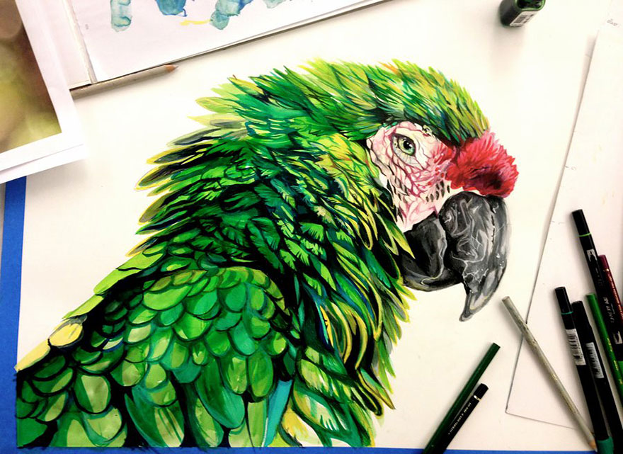 ilustraciones-animales-color-katy-lipscomb (1)