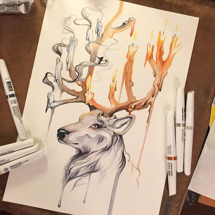 ilustraciones-animales-color-katy-lipscomb (11)