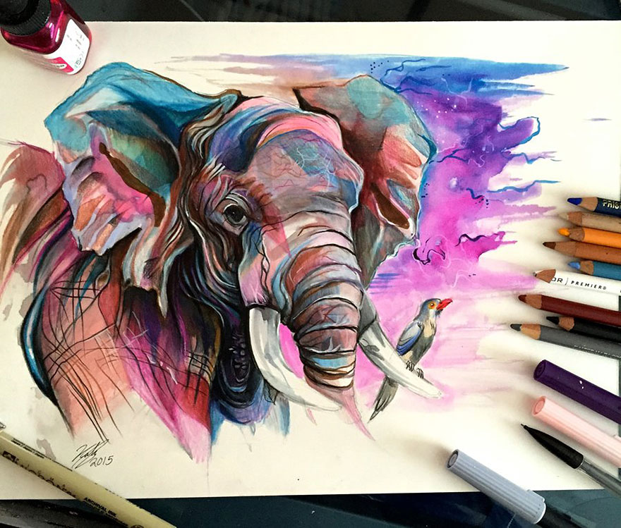 ilustraciones-animales-color-katy-lipscomb (15)