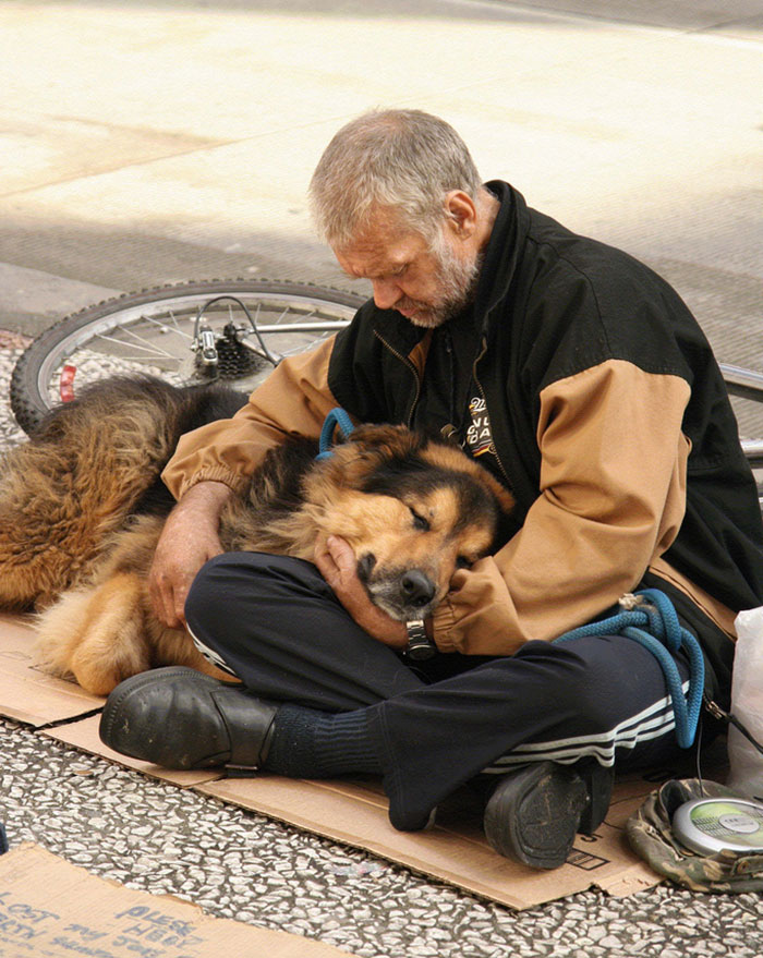 indigentes-perros-lealtad (2)