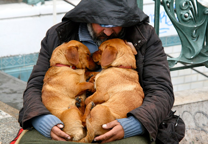 indigentes-perros-lealtad (8)